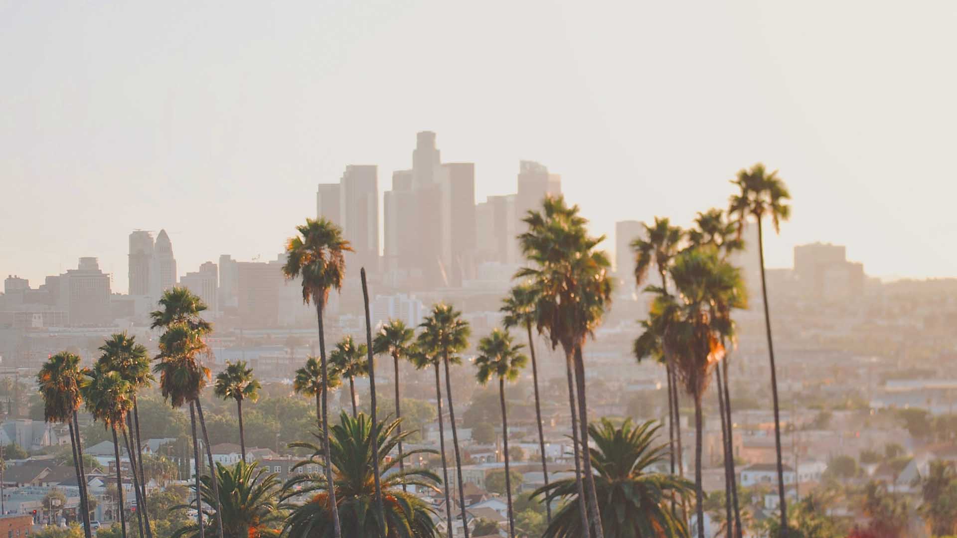 Los Angeles Private Jet Charter 2022 Guide Best Prices Wijet